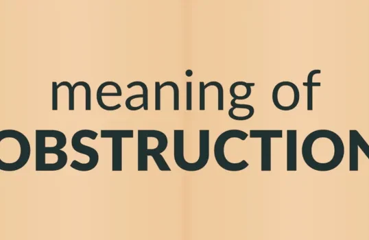 Meaning of Obstructing